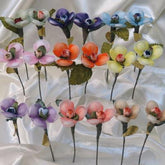CF Coriandoli